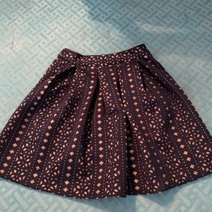 Francesca’s Skirt
